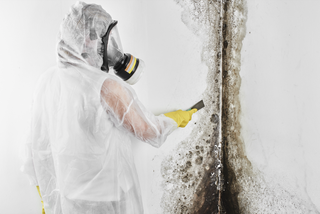 Mold Inspectors Fayetteville: Find The Help