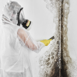 Mold Inspectors In Los Angeles: Mold Removing Professional In Los Angeles